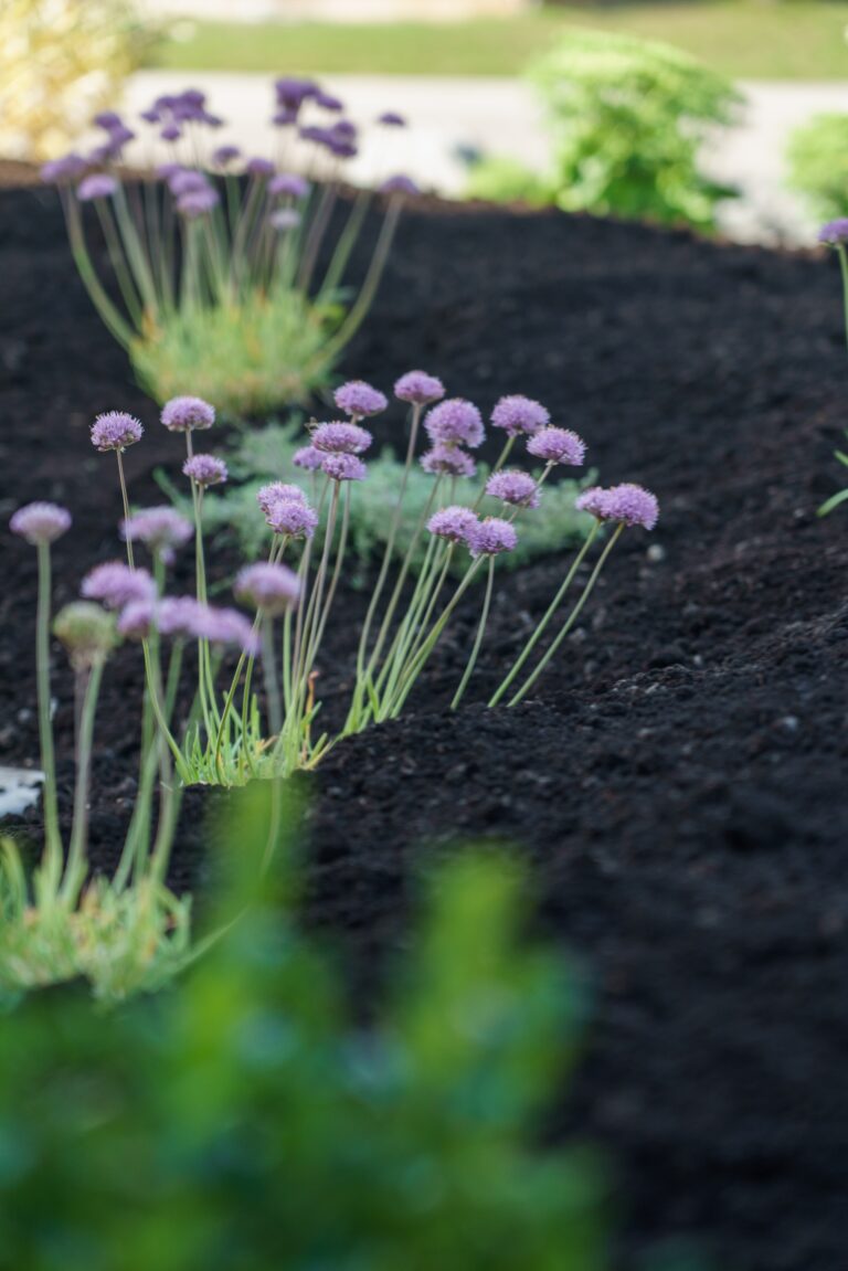 Bloomworks Gardening Revelstoke Landscaping & Garden Design